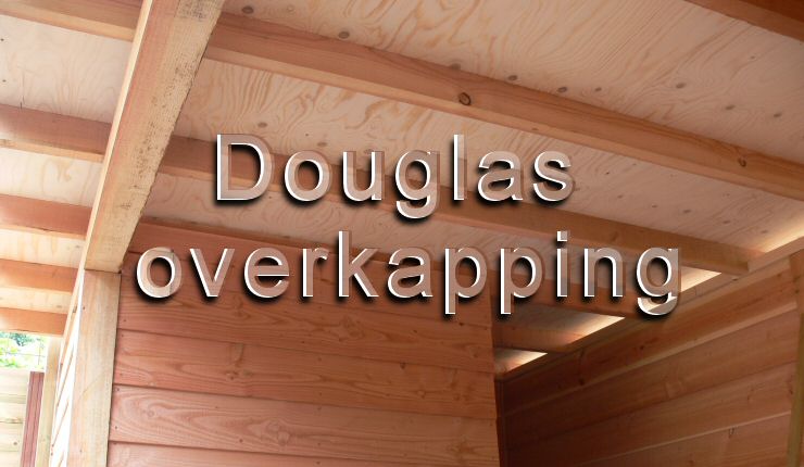 Douglas overkapping bouwen
